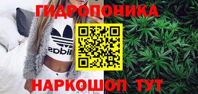 спайс Гусев